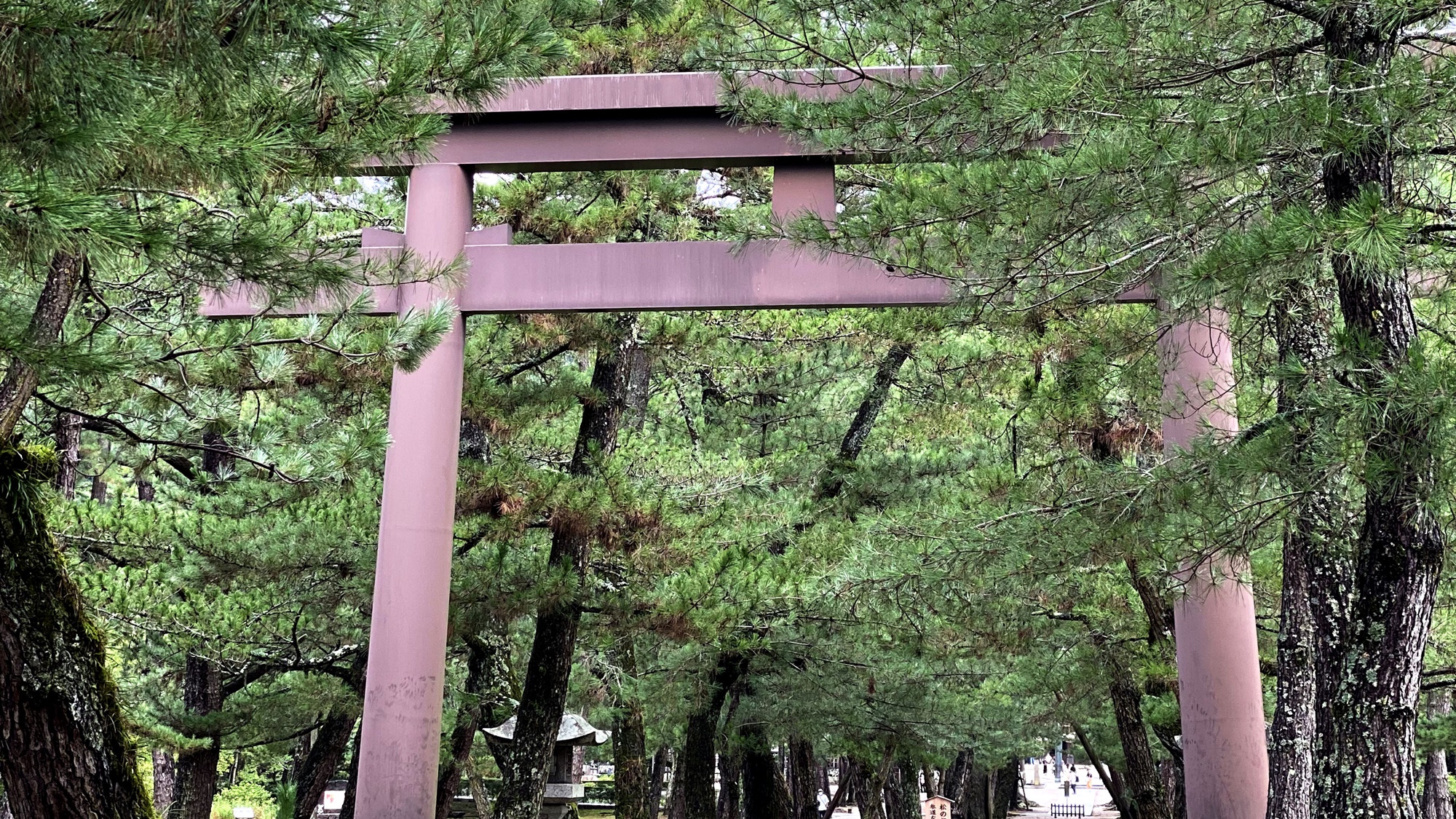 *【出雲大社】神門通り入り口に立つ白い大鳥居を一の鳥居として異なる素材でできた四つの鳥居があります。