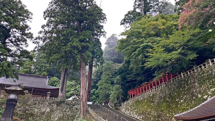 *【清水寺】杉木立の静寂の中、1400年もの歴史を今もなお残っています。