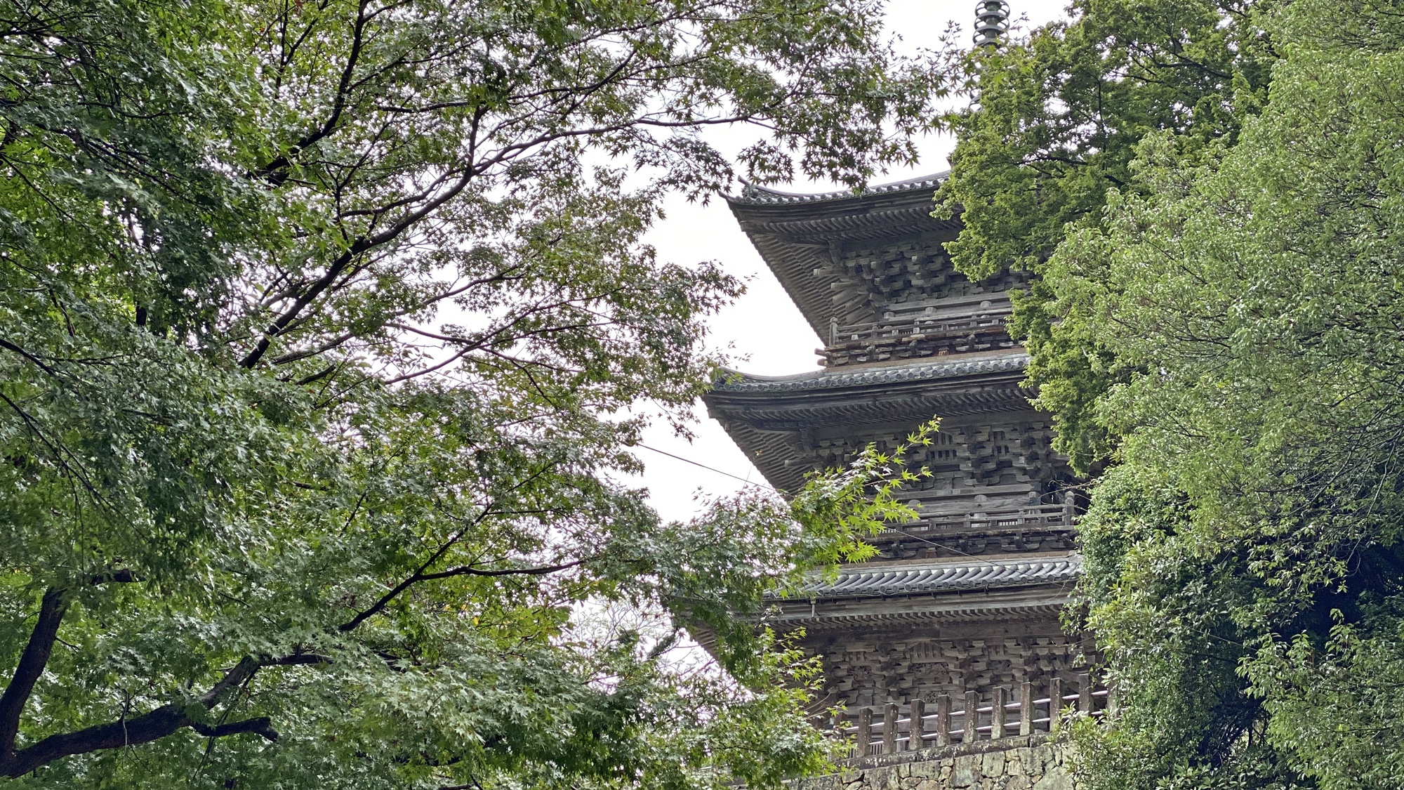 *【清水寺】四季折々の色彩が映える三重塔。安政6年（1859）に建立された、山陰唯一の木造の多宝塔。