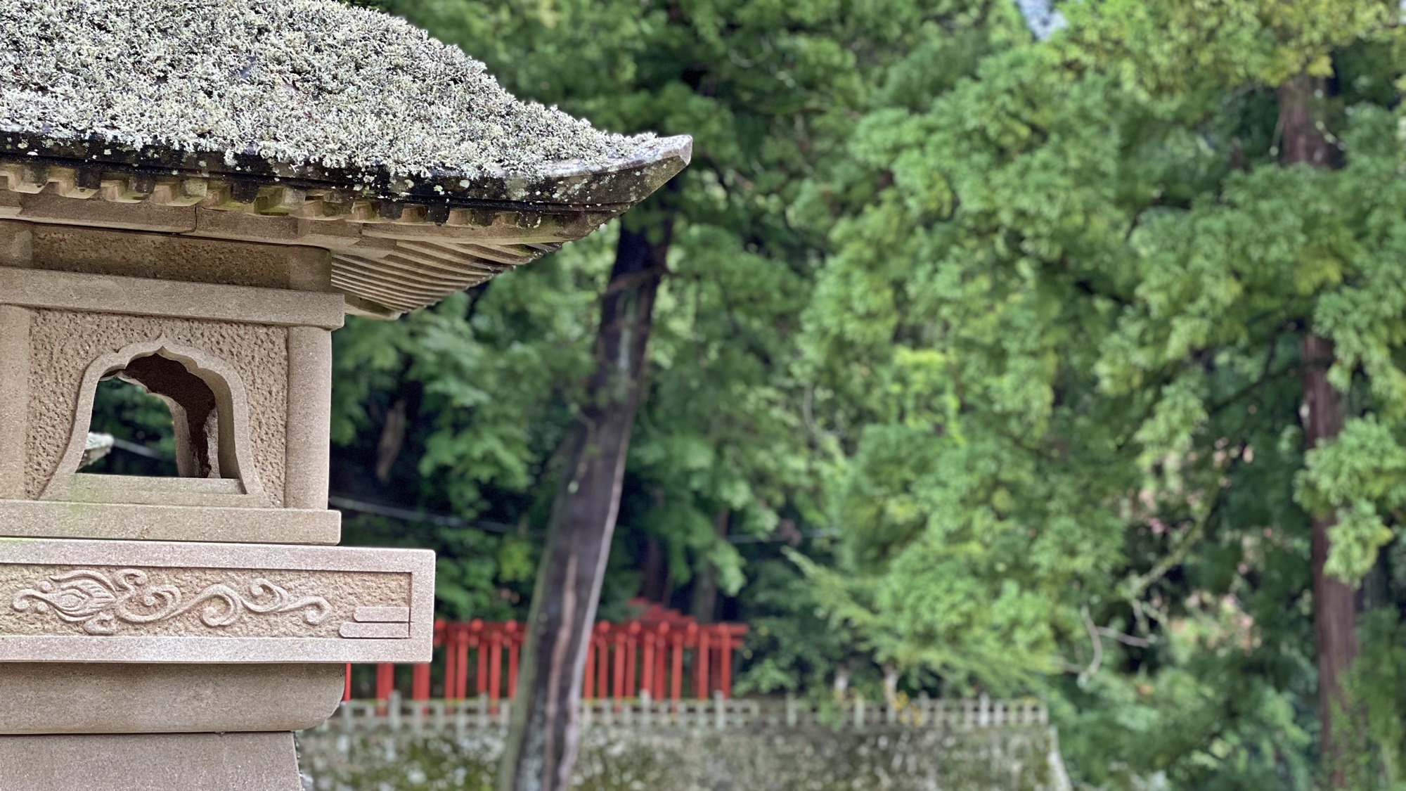 *【清水寺】深い木立の中、石畳の参道の奥にあり、十一面観音様をご本尊とする厄払いの寺として有名。