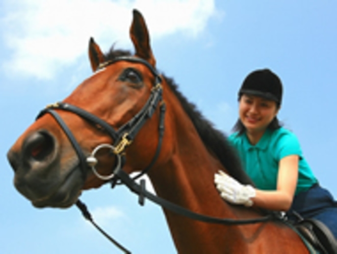 乗馬クラブ・龍ヶ崎クレイン　お車で10分