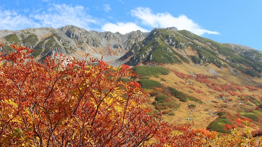 *周辺／紅葉の立山。色づく季節の一瞬をお見逃しなく！