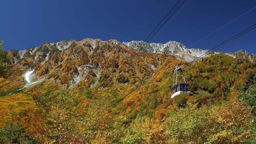 *周辺／紅葉の立山ロープウェイ。一面の絶景が広がります。