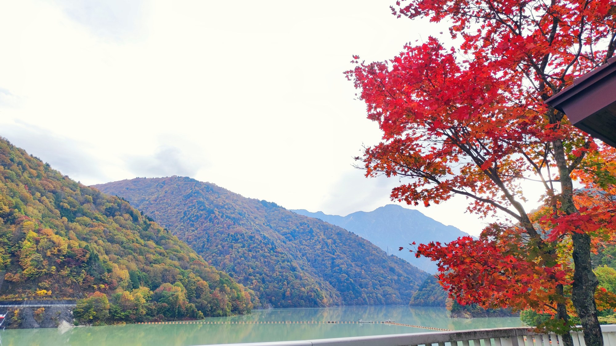 ＊周辺観光／紅葉の龍神胡。