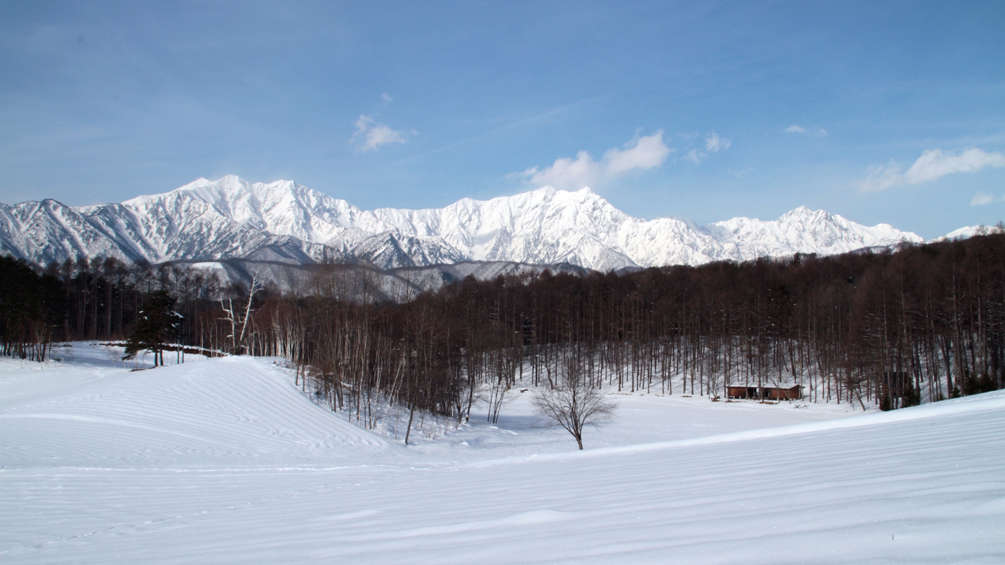 *周辺観光／雪の中山高原