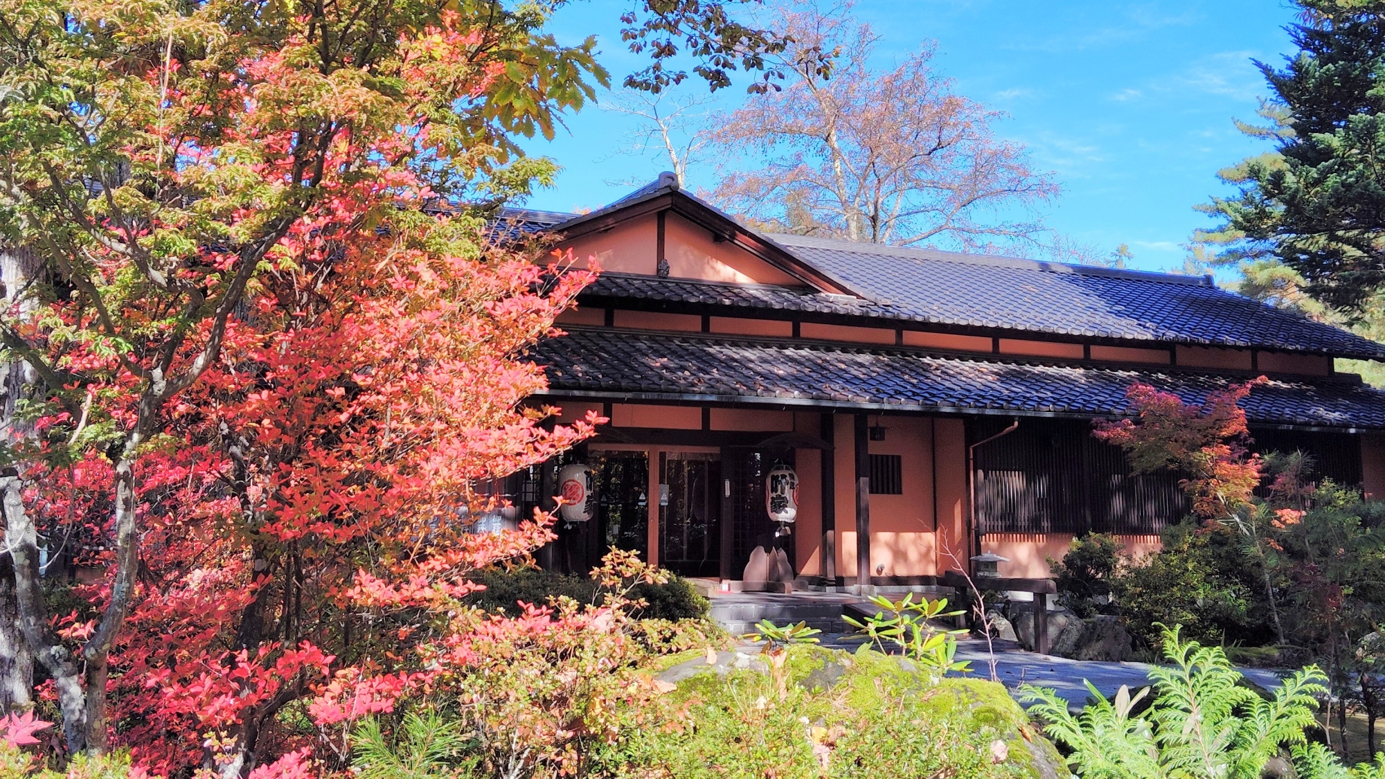 *外観（紅葉）／色づく木々と提灯や瓦葺の屋根が日本らしさを感じさせる純和風旅館
