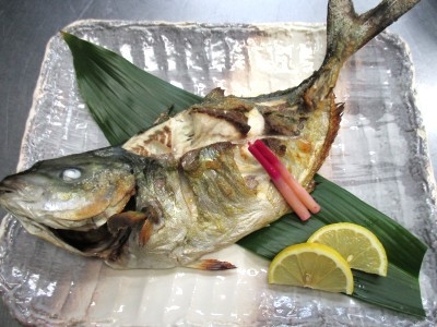 ＜高級魚＞シマアジのお造り＆塩焼き付きプラン！