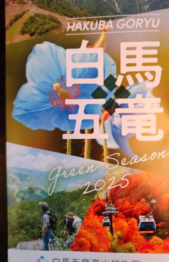 白馬五竜植物園、HAKUBA47、岩岳マウンテンリゾート、栂池、八方トレッキングチケットがお得！