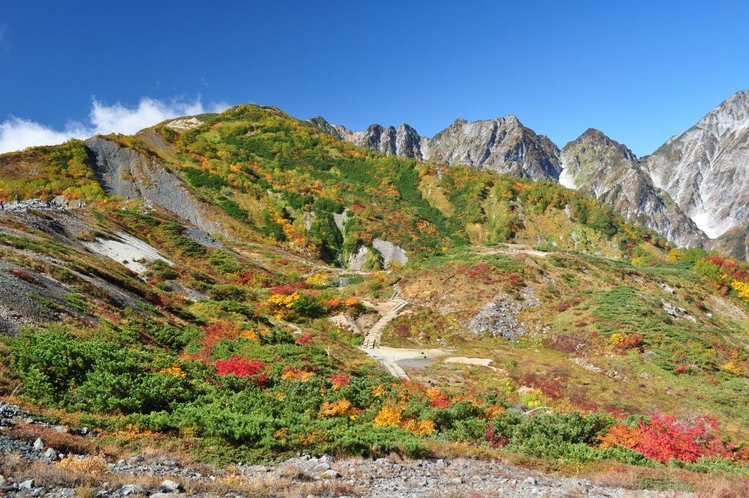 五竜高山植物園の秋