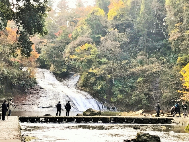 「粟又の滝」を眺めながらの散策がお楽しみ頂けます。