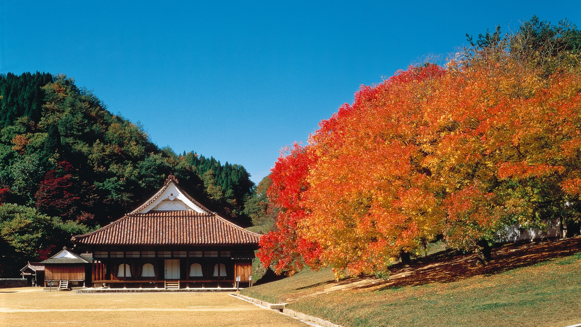 旧閑谷学校　紅葉