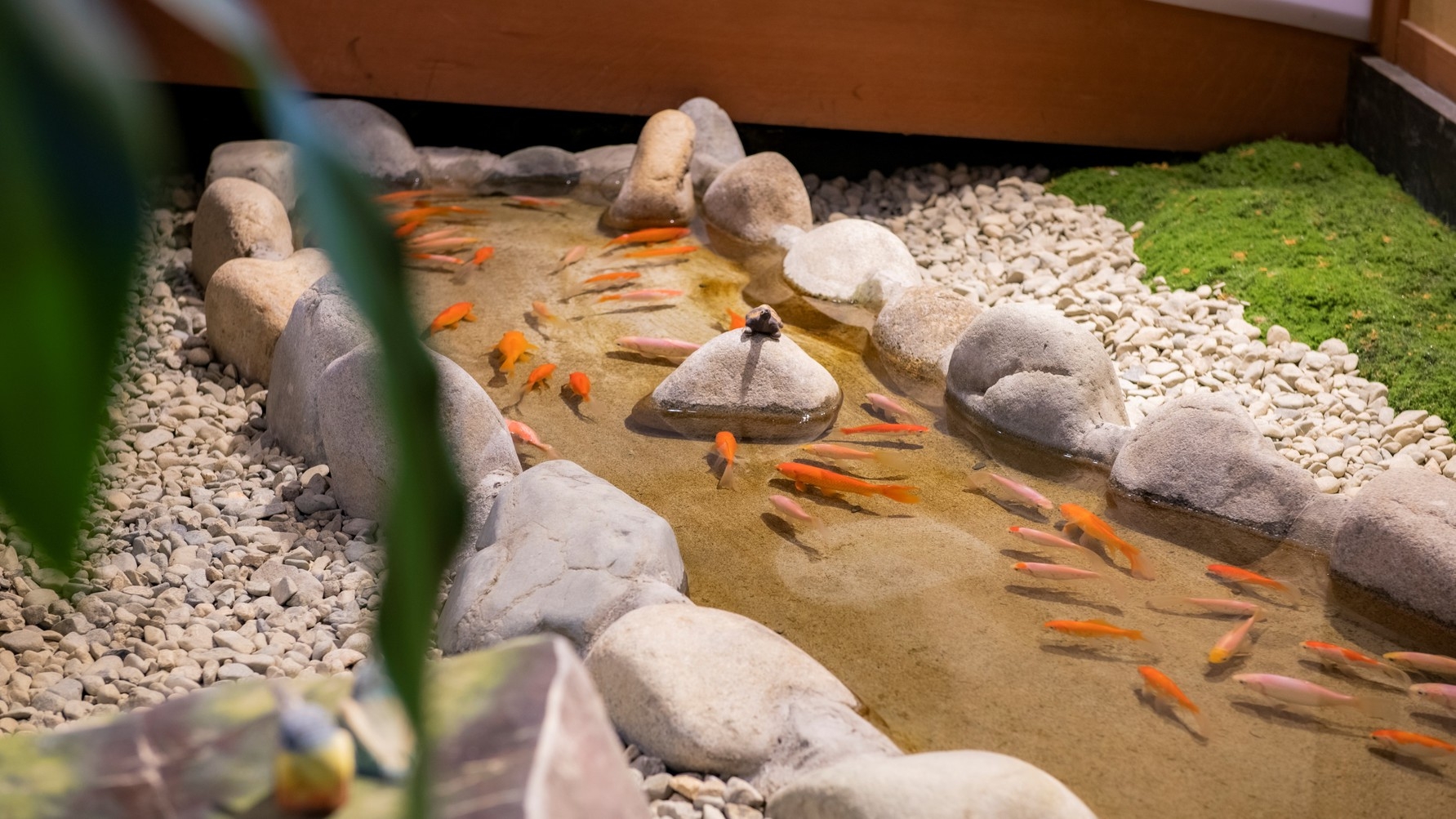 「佐渡島の金山」世界遺産登録１周年記念【美食旅】 新潟の旬の食材を愉しむ「旬菜創作会席　花」