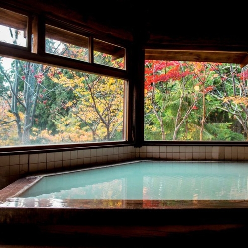 【丸太造りの温泉浴場】秋は赤や黄色に色づく紅葉を眺める贅沢な時間になります