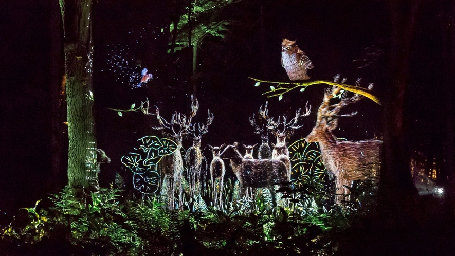 ■夜の森を歩いて愉しむナイトウォーク「カムイルミナ」／美しい映像が森の中に浮かびあがる（イメージ）