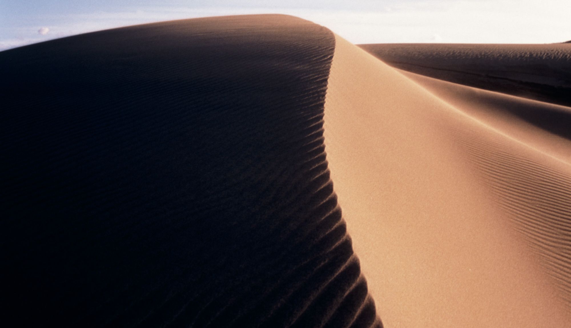 ◆鳥取大砂丘。美しいコントラストにうっとり♪