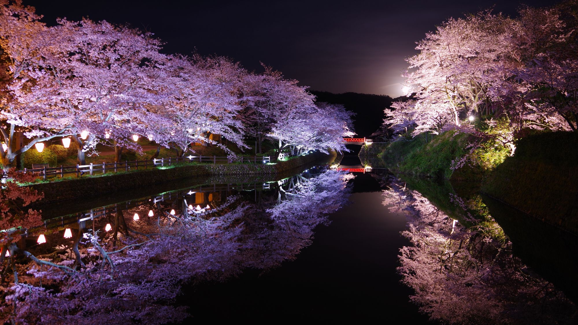 とっとり花回廊。当館から車で約１時間20分。四季折々の鮮やかな花々が一年中楽しめます。