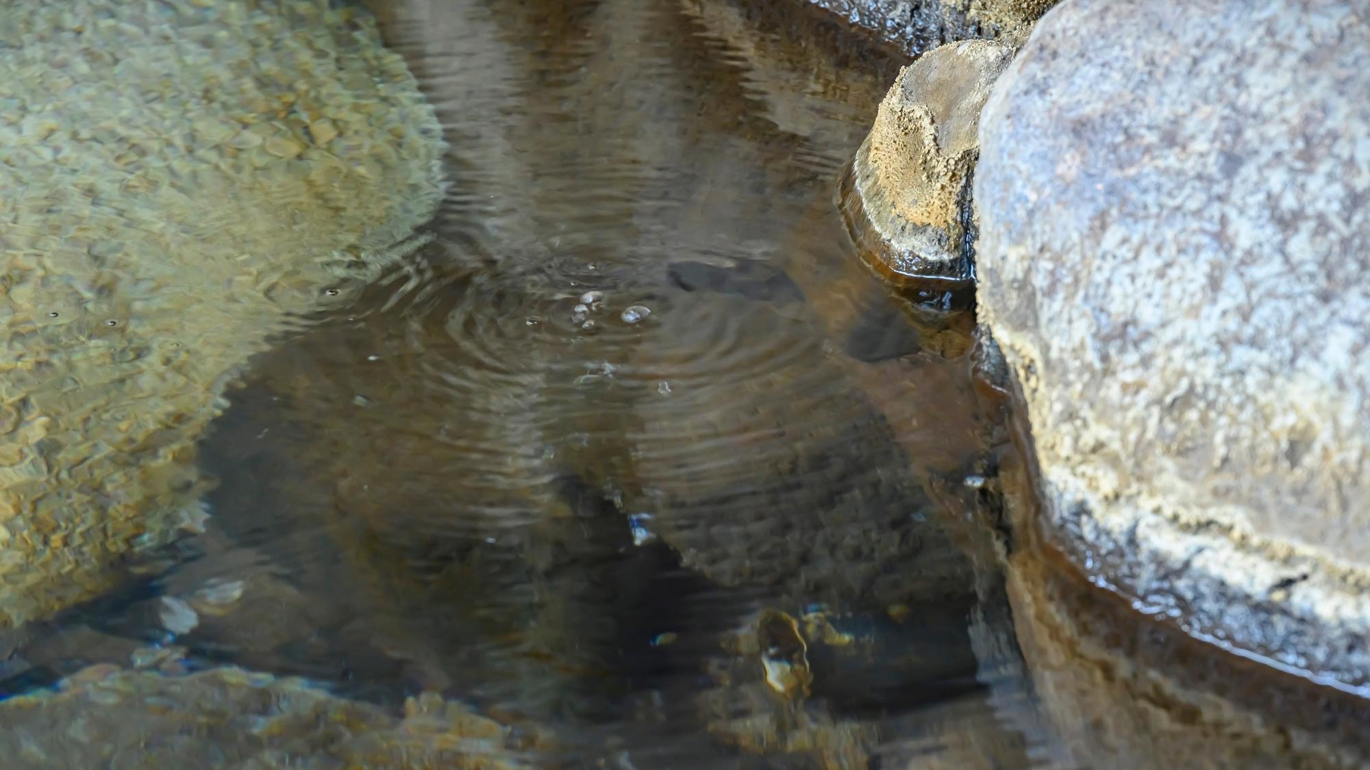 自家源泉5か所、うち3か所が自噴泉という、全国でも稀有な美泉をご堪能ください。