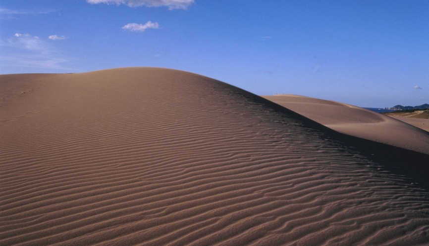◆鳥取砂丘。自然によって造られる、風紋が美しい！