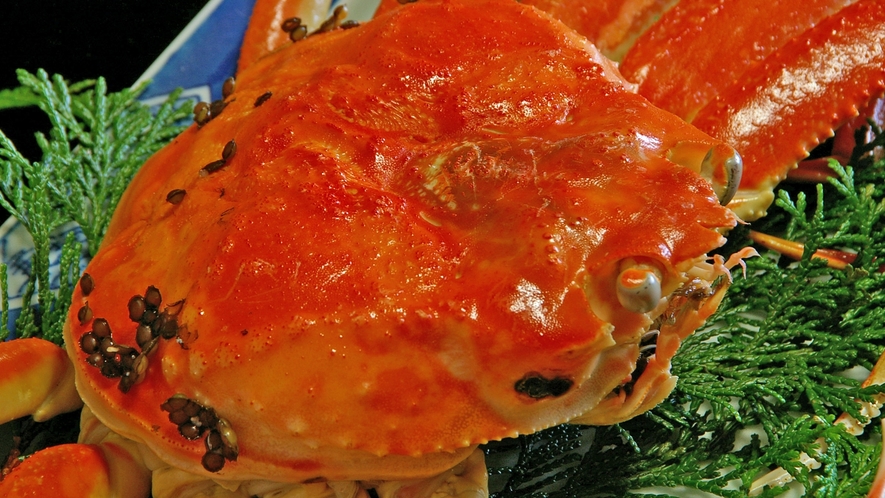 *冬の蟹料理一例。アツアツの茹でガニをどうぞ（イメージ）