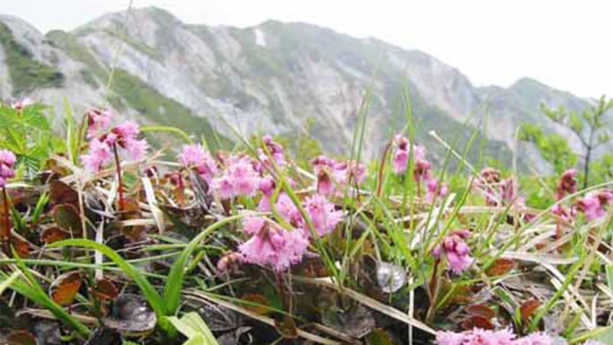 ・＜周辺＞四季折々の大山の豊かな大自然を満喫できます