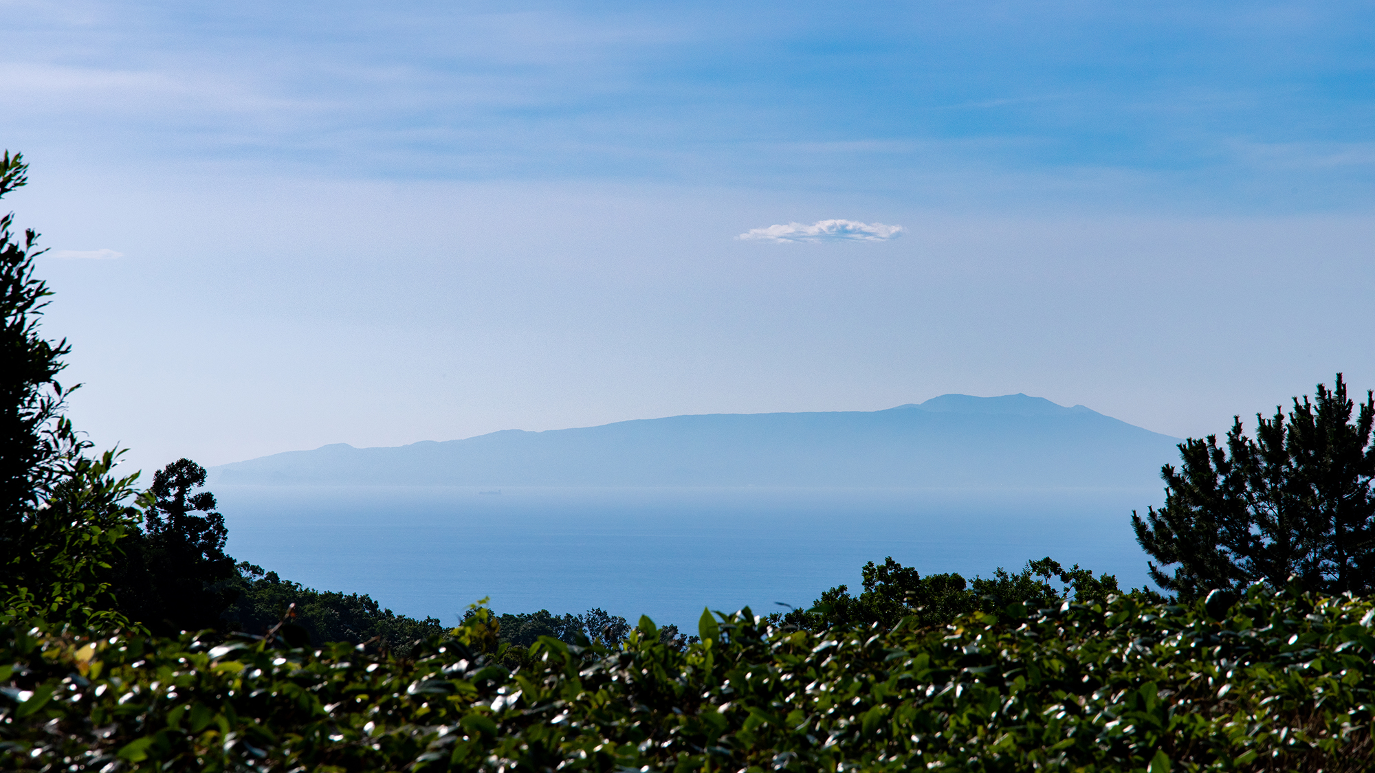 客室からの大島（嵐山）