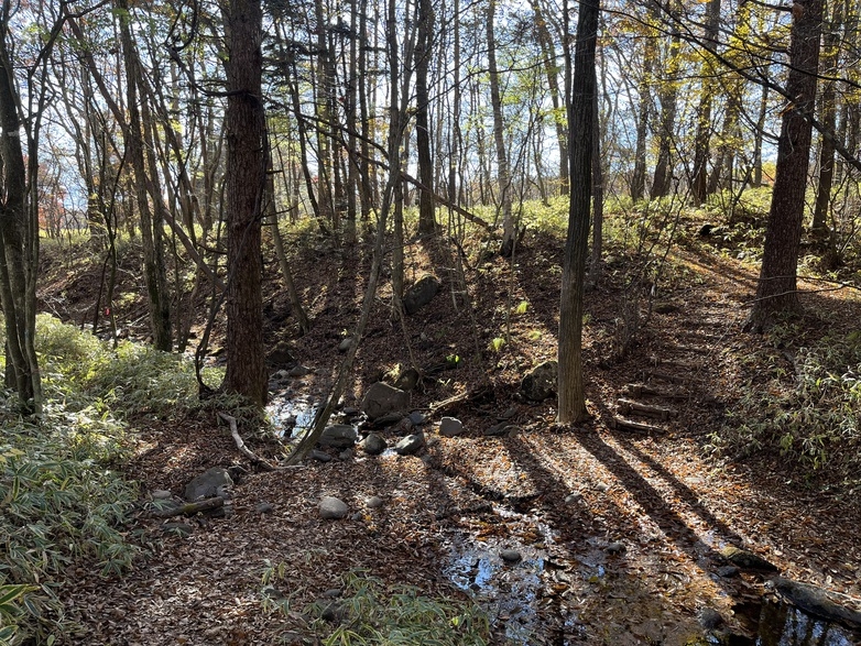 【通年】人気の２食付◆野菜たっぷりフルコースディナー付きでゆったりとした森滞在を・・・