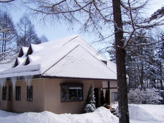 雪に覆われたバーク