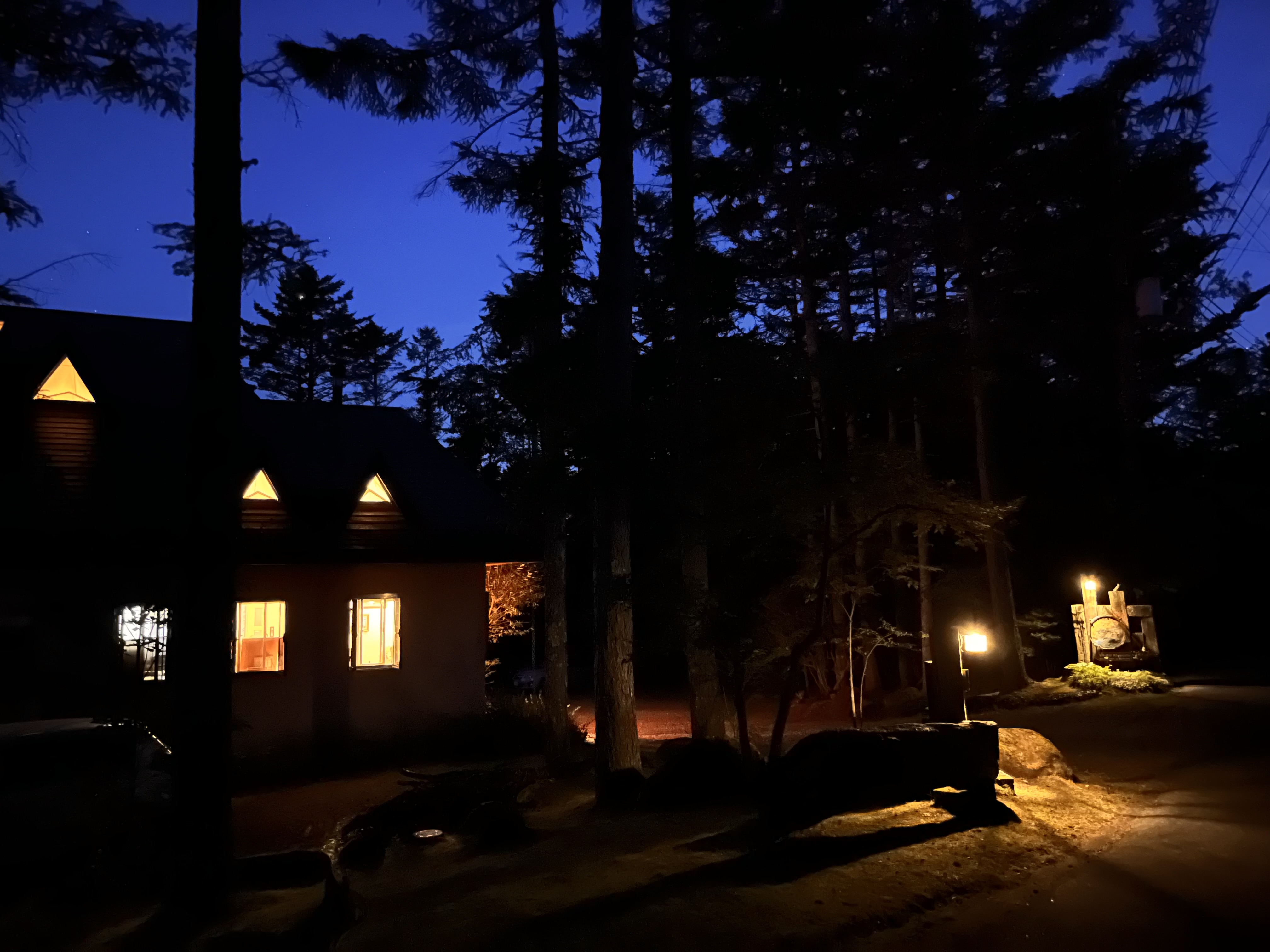 森の夜は絵本の世界