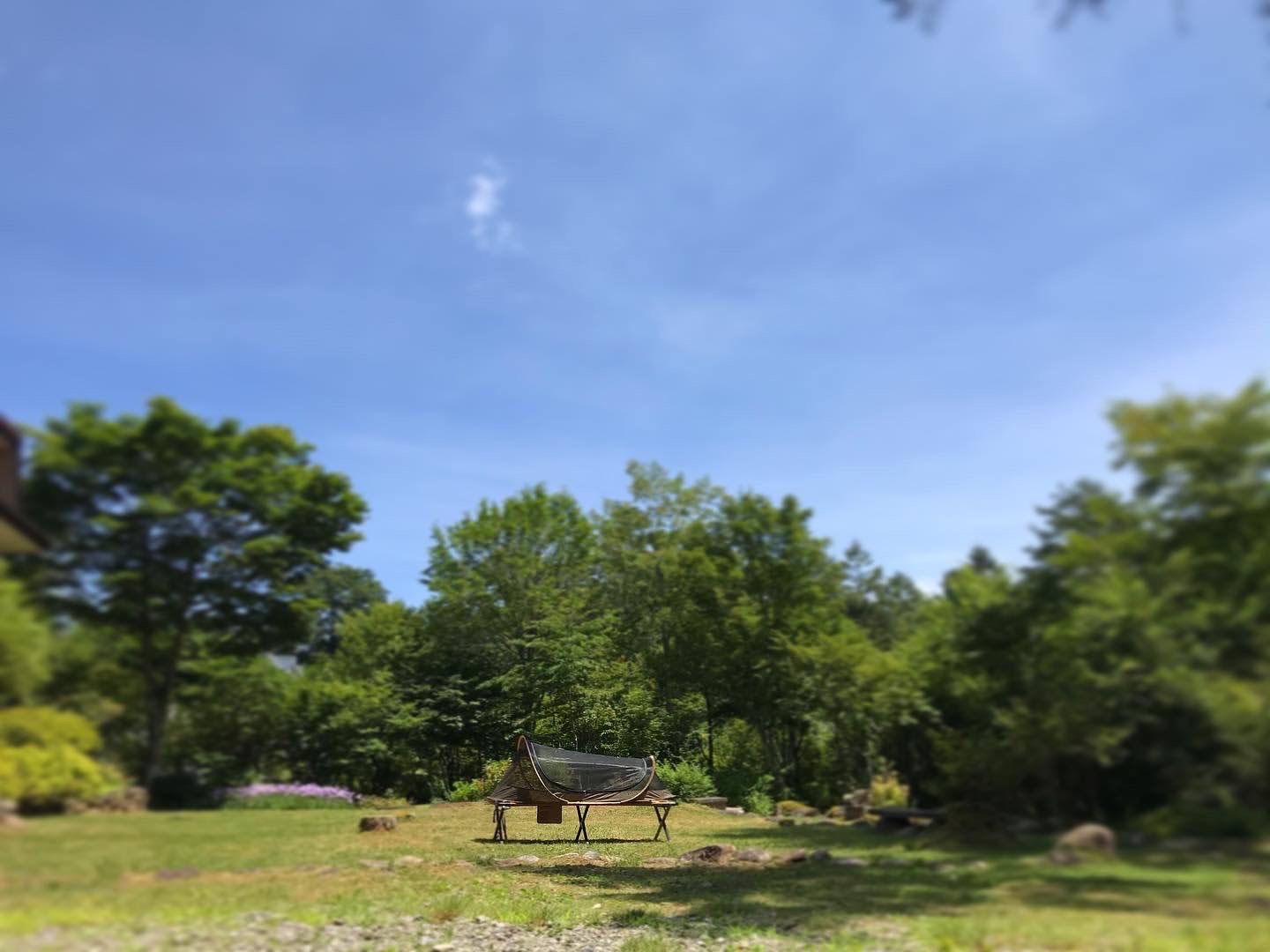 庭で星空観察