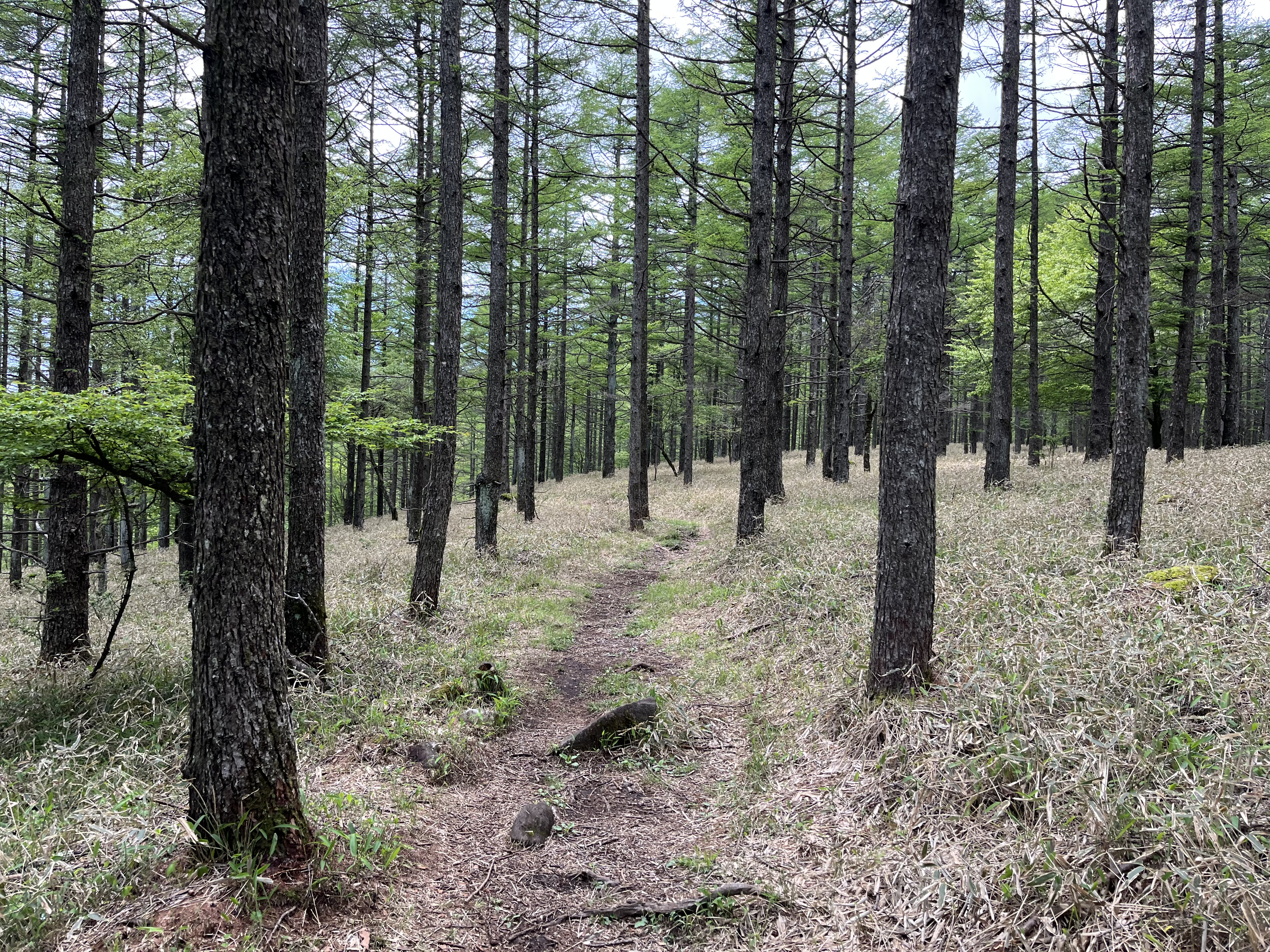 軽登山　ハイキングコース