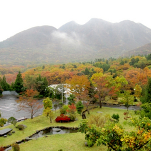 秋は紅葉がとってもキレイです♪