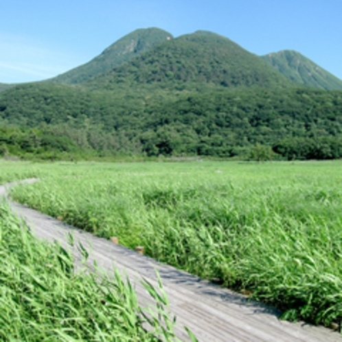 豊かな自然に恵まれた九重。四季折々の景色がお愉しみいただけます。