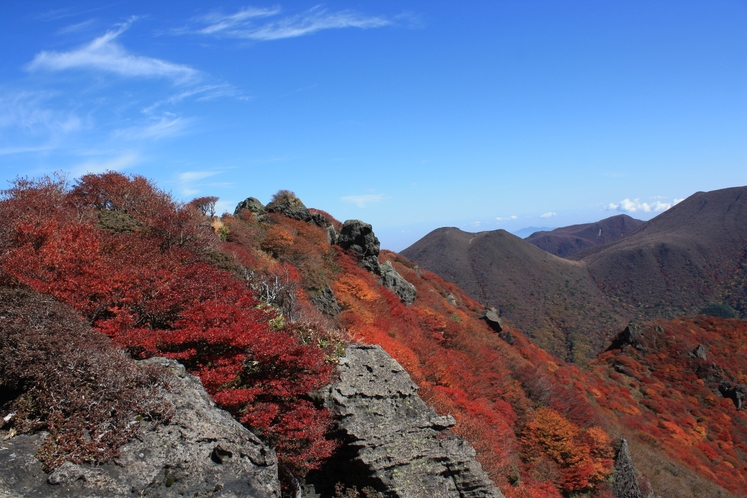 くじゅうの紅葉