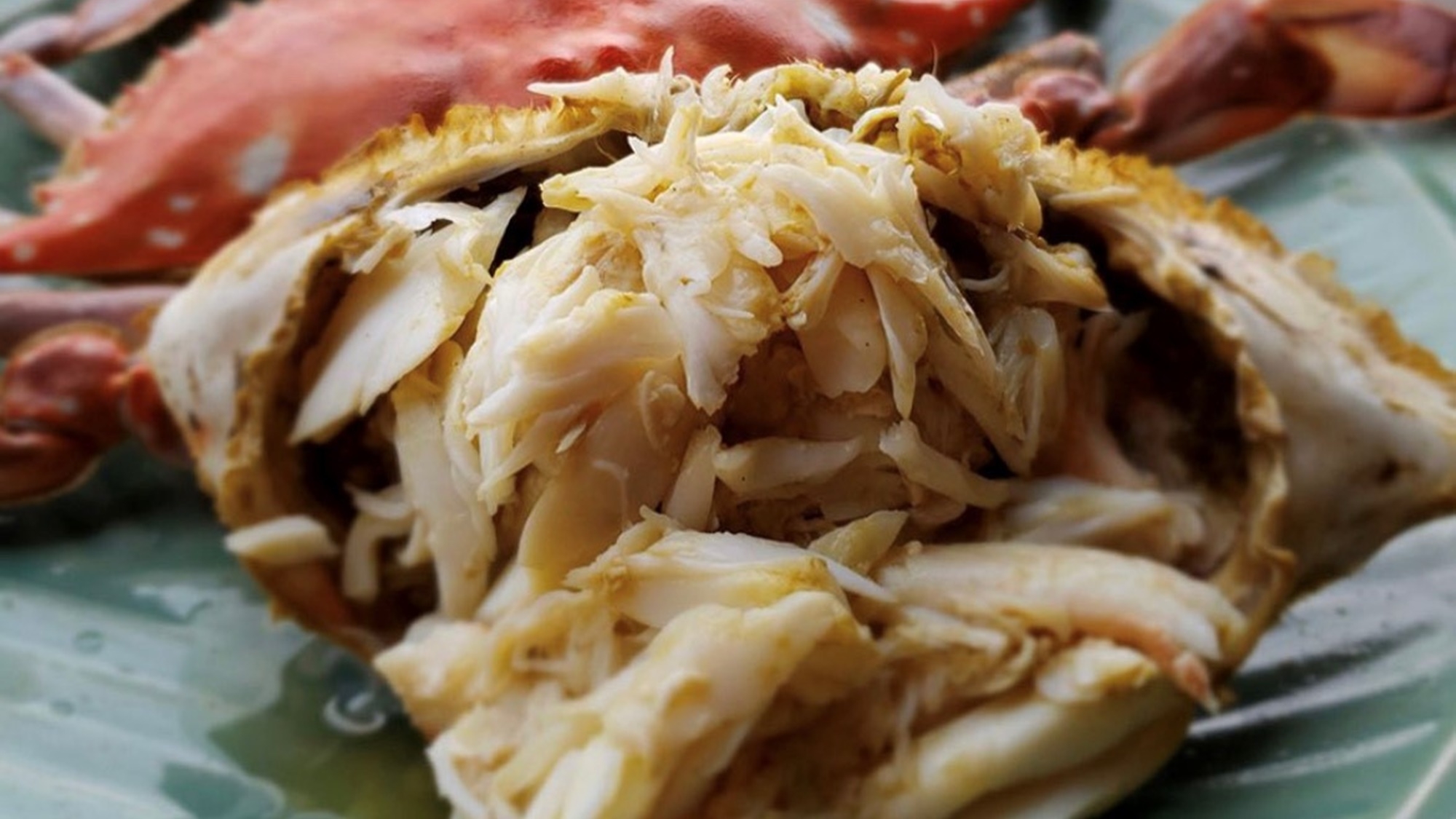 【いっぷく定番プラン】『夏季限定』有明海の幸と竹崎カニを茹で×焼きで食べ尽くす(2食付)
