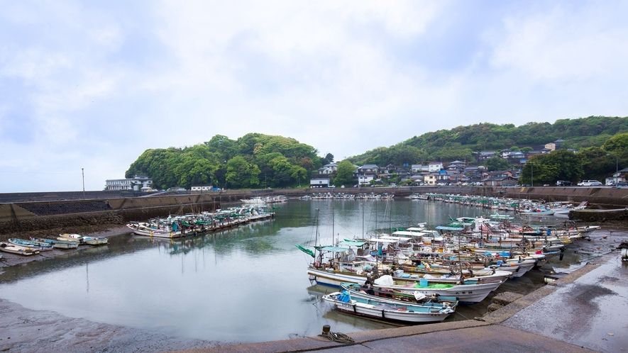 *【周辺の景色】宿の前は竹崎港！お散歩もできます。