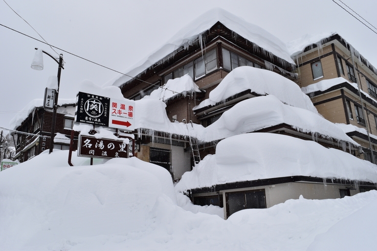 関温泉スキー場リフト割引券付きプラン【お先でスノ。】