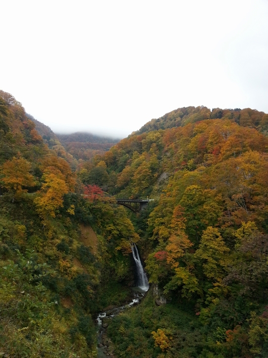 「佐渡島の金山」世界遺産登録１周年記念【豊かな自然】　源泉かけ流し紅いにごり湯を楽しむ