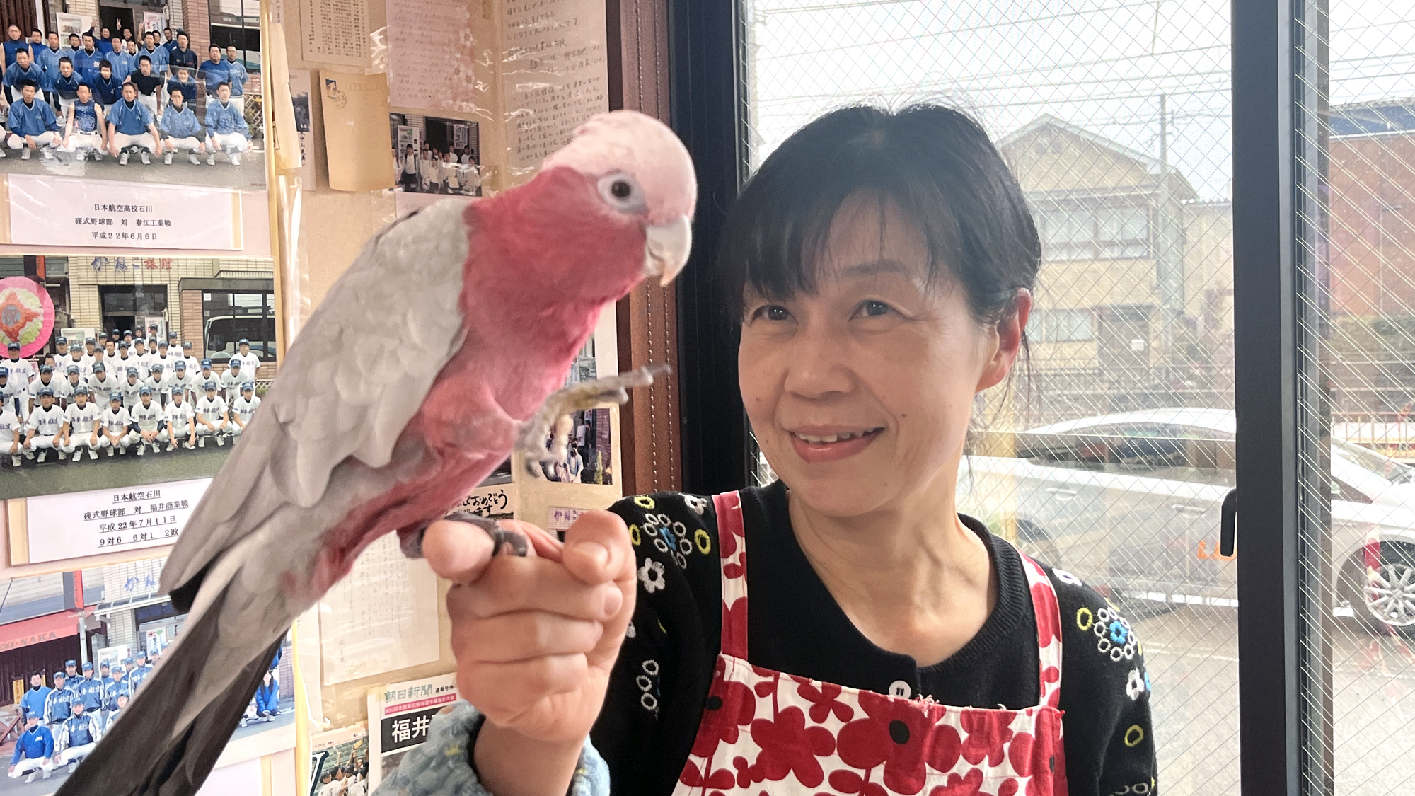 【イメージ】桃色インコのももちゃんと女将さん