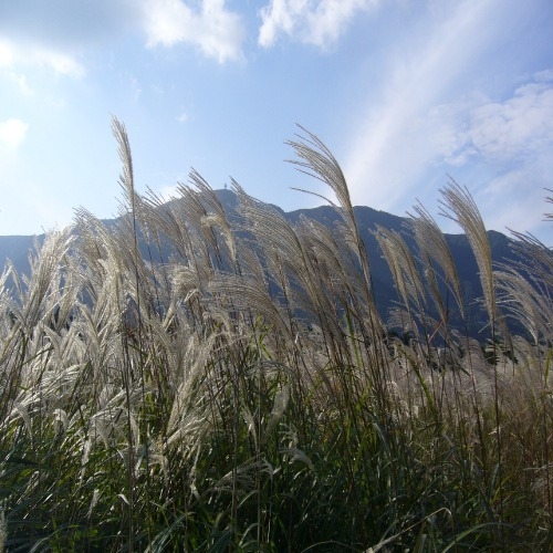 【素泊り】冬　月・星輝く仙石高原　かけ流し貸切温泉お風呂でのんびりと！（お食事無し）