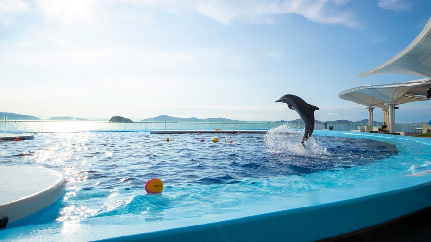 【四国水族館】四方を海に囲まれた四国ならではの豊かな水景を再現　車約80分（高速利用あり）