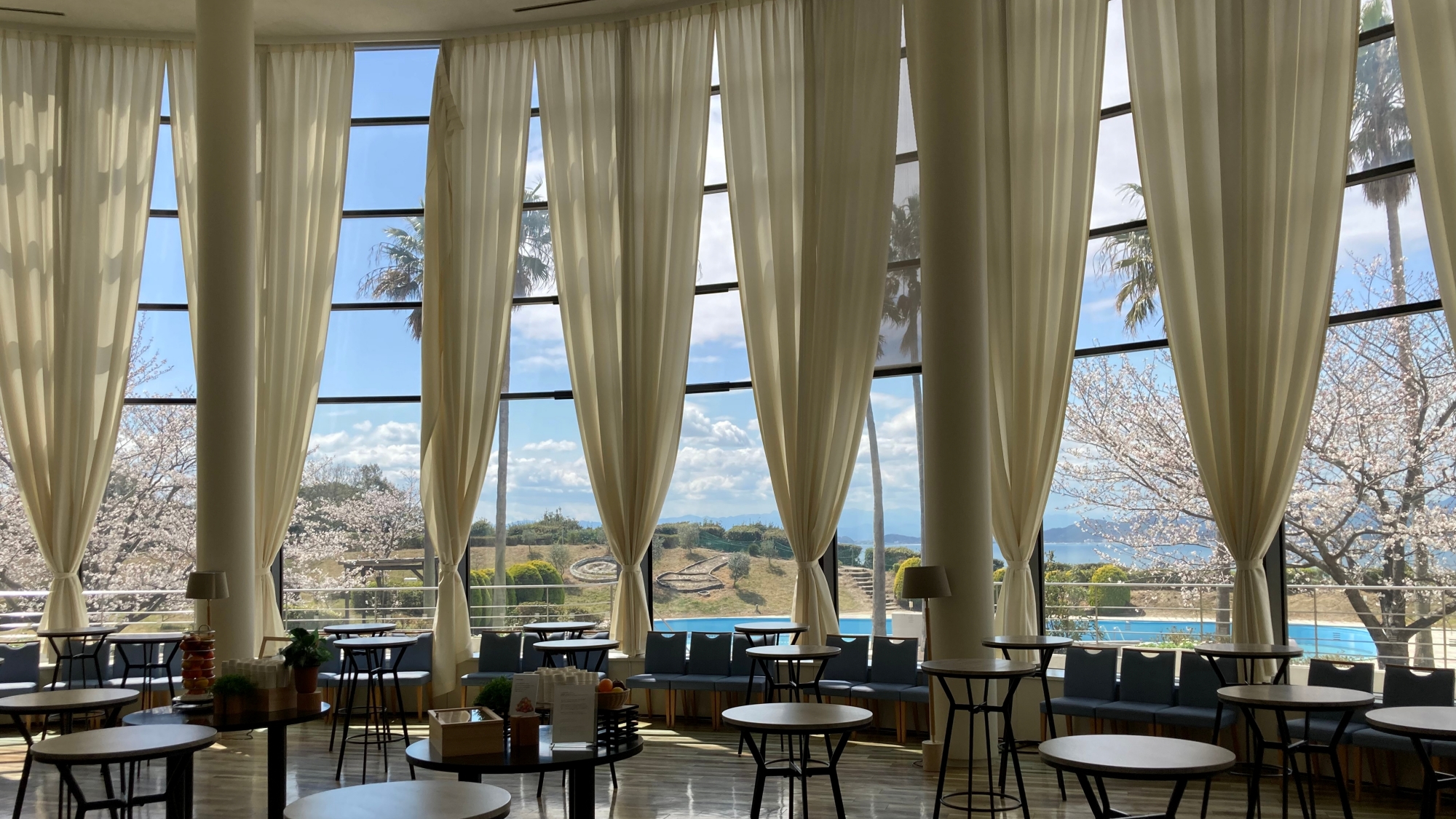 ラウンジより望む桜