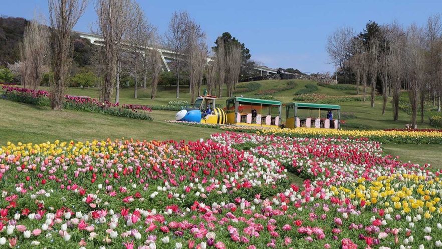 広大なお花畑で癒しの散策「淡路島国営明石海峡公園」車約70分（高速道路利用時）