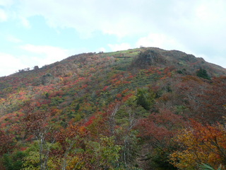 氷ノ山の紅葉