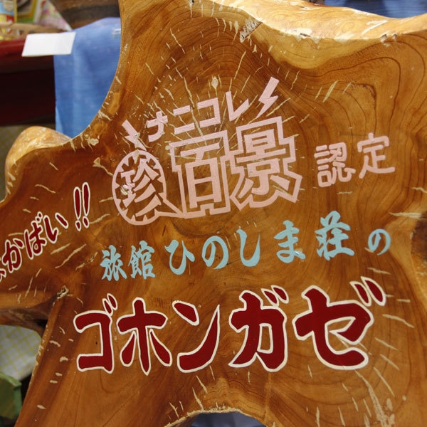 【素泊り】格安・お気軽に天草旅行☆　＼釣りや観光・ビジネスに！／