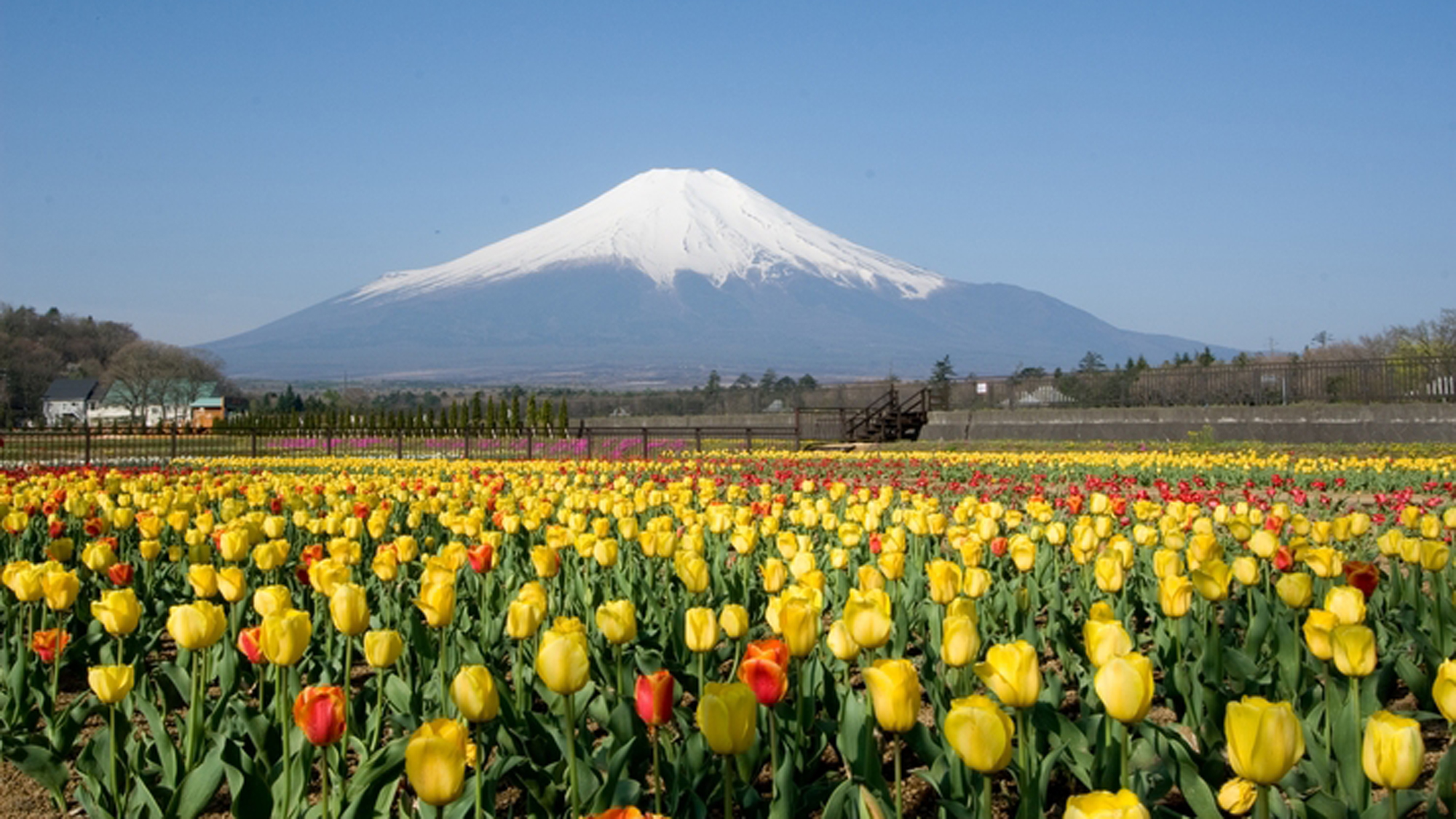 花の都公園