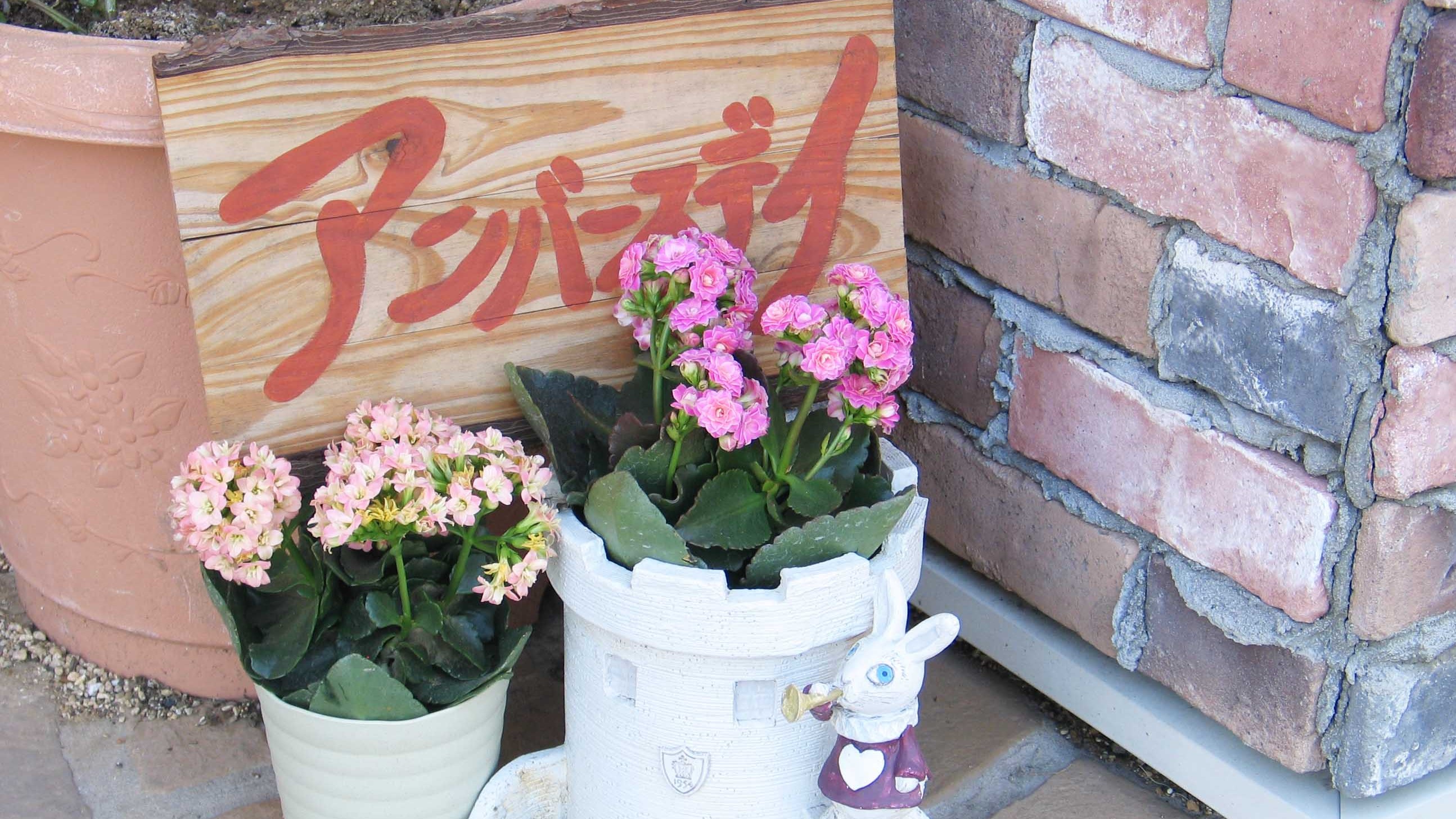 ペンション アンバースデイ 宿泊予約 楽天トラベル ペンション アンバースデイ 宿泊予約 楽天トラベル