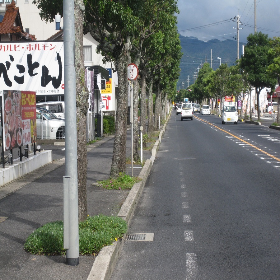 写真2