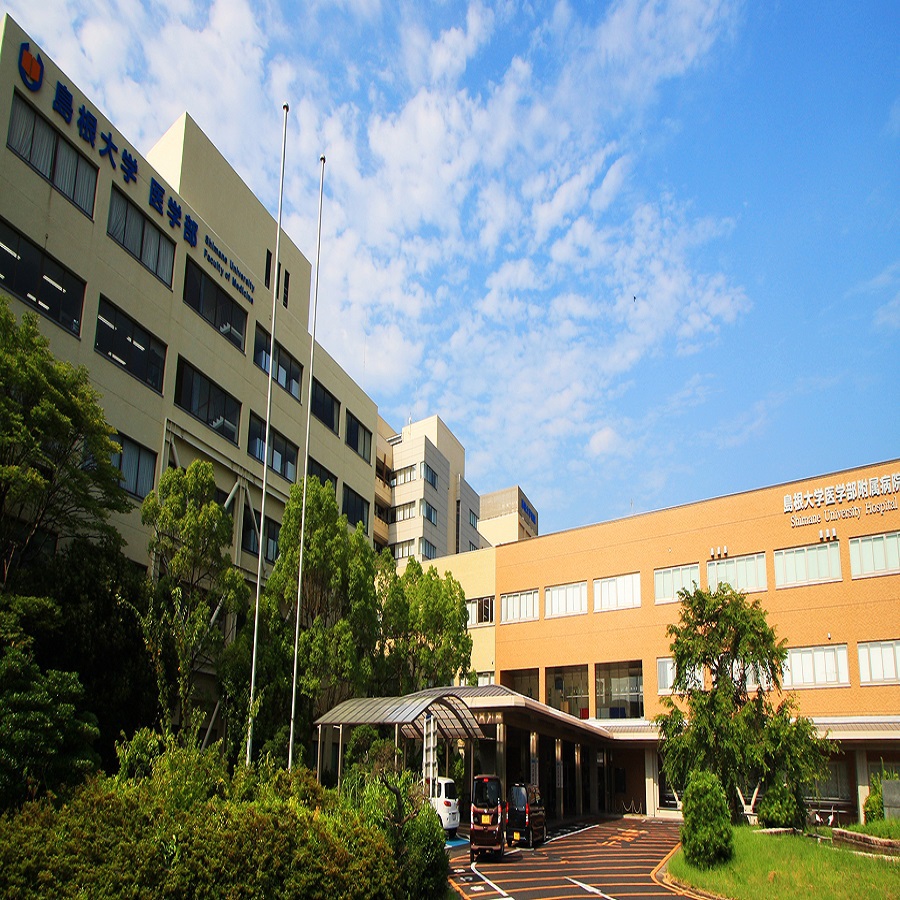 写真6