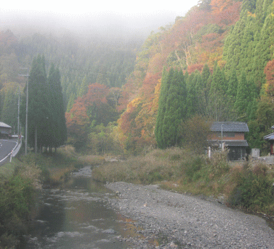 美山の紅葉・秋満喫プラン