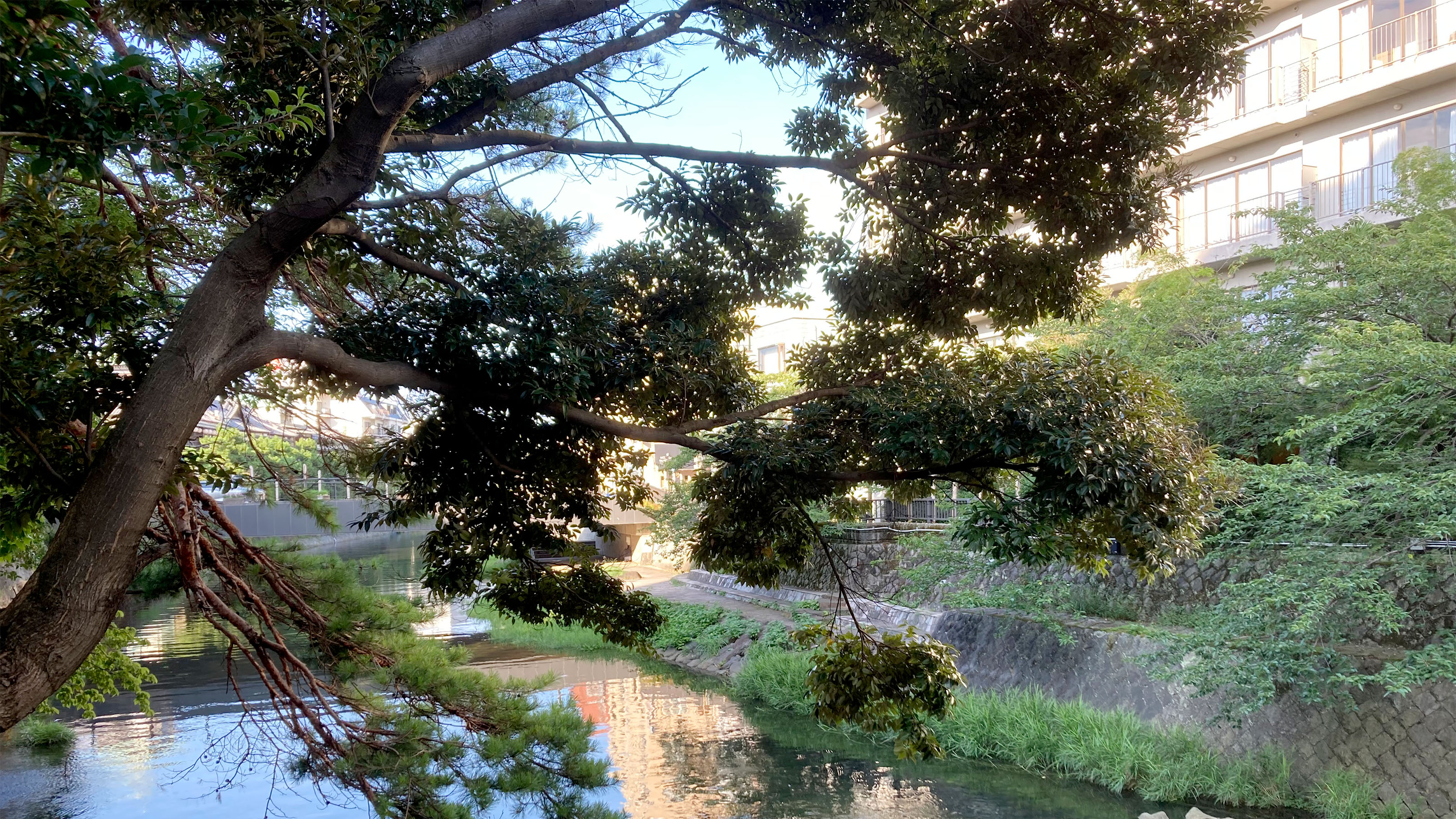 伊東温泉　伊東園ホテル - 写真 27